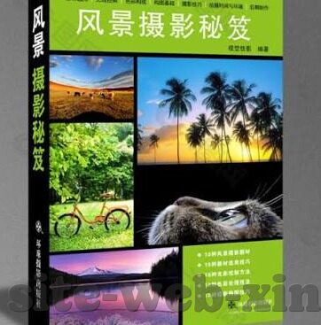 蔚山现代足球比分-深度解析，蔚山现代足球比分背后的战术博弈与赛季征程